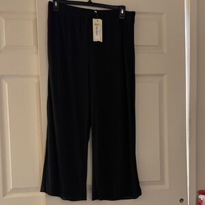 NWT dressy pants